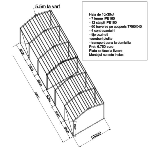 Structura Metalica 10x30x4