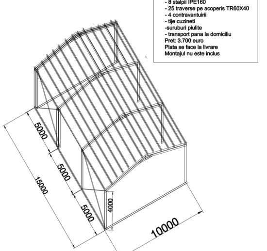 Structura Metalica 10x15x4